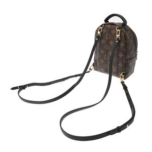 Louis Vuitton Brown Canvas Palm Springs Daypack Monogram Backpack